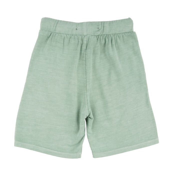 Crocodile Shorts