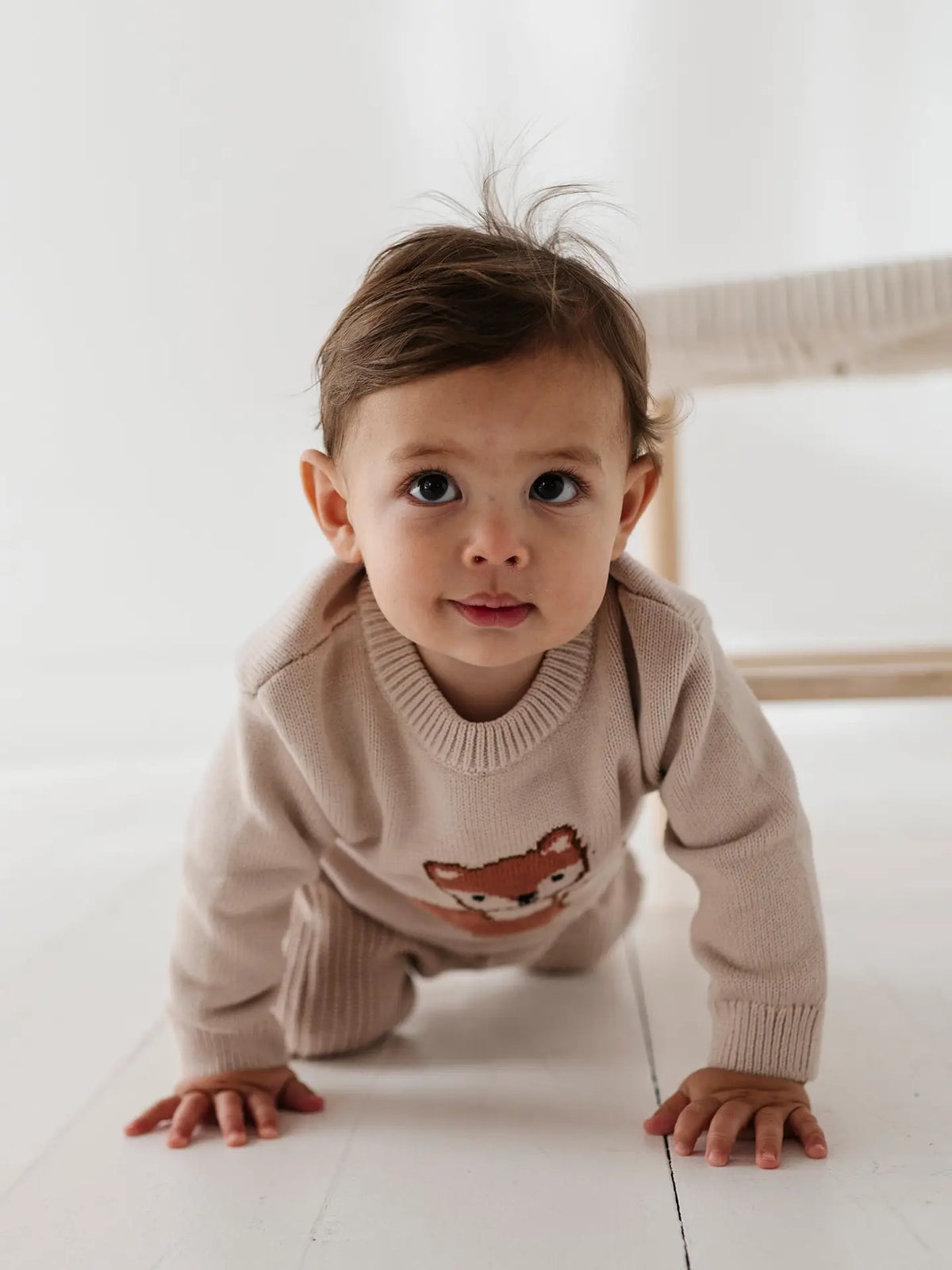 Fox Knit Sweater
