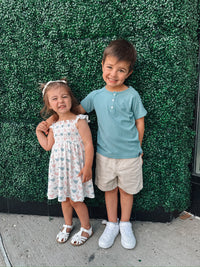 Happy Hens Smocked Dress