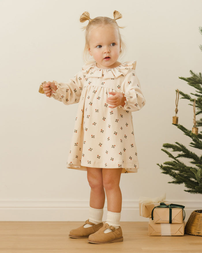 Holly Berry Velour Dress