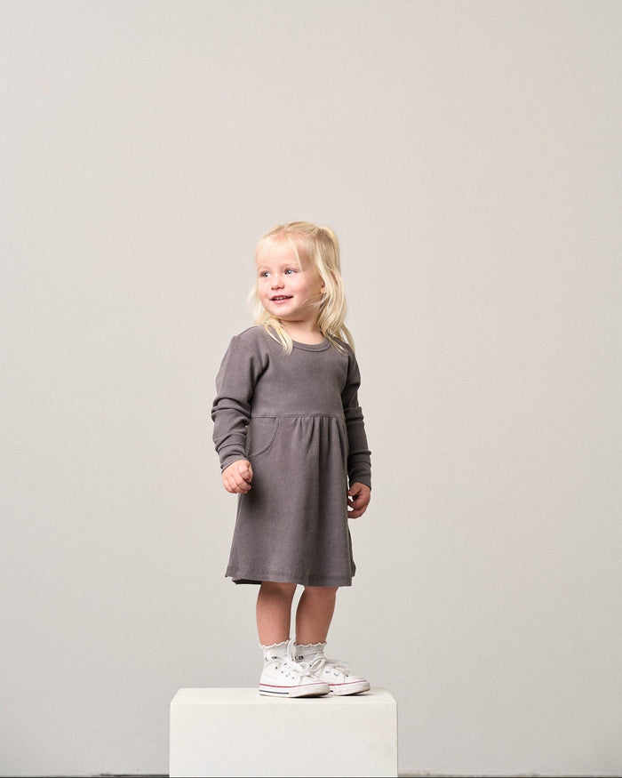 Graphite Long Sleeve Ribbed Dress