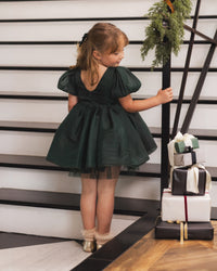 Green Shimmer Sofia Dress
