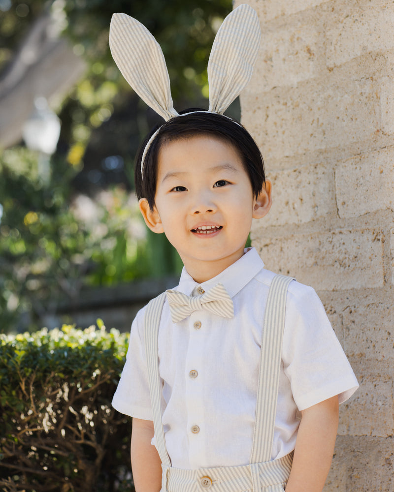 Sage Stripe Bow Tie