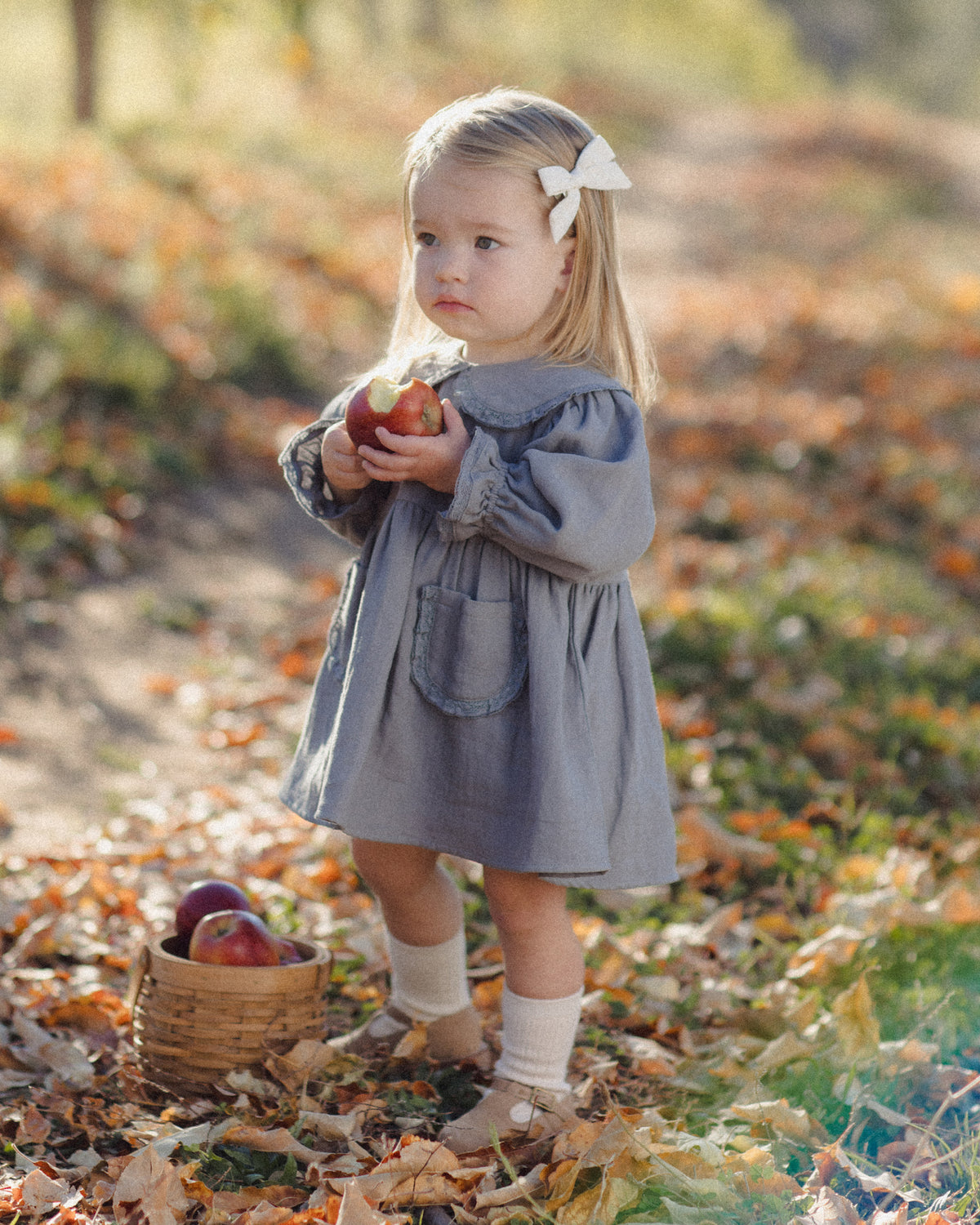Slate Marisol Dress