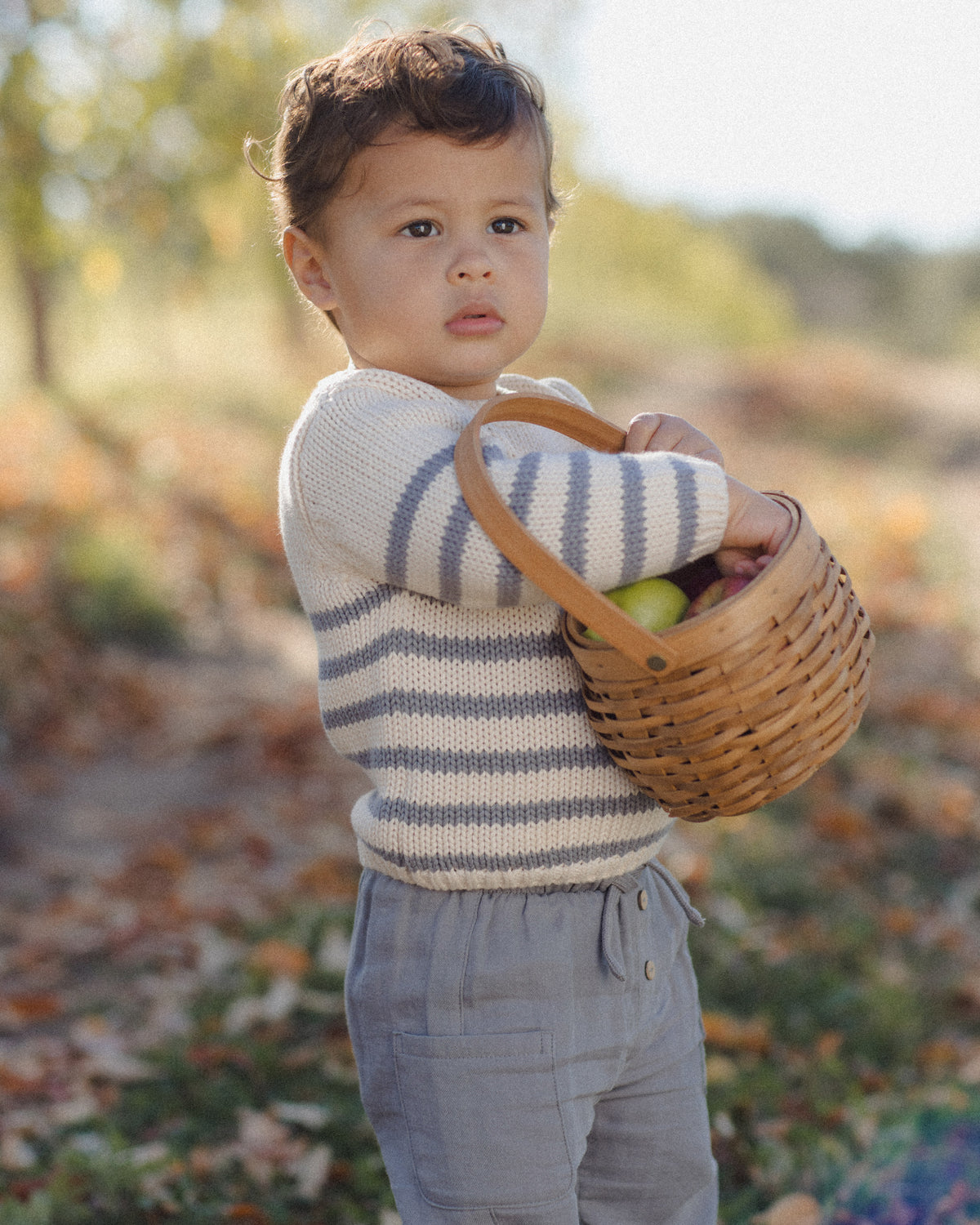 Slate Stripe Rex Sweater
