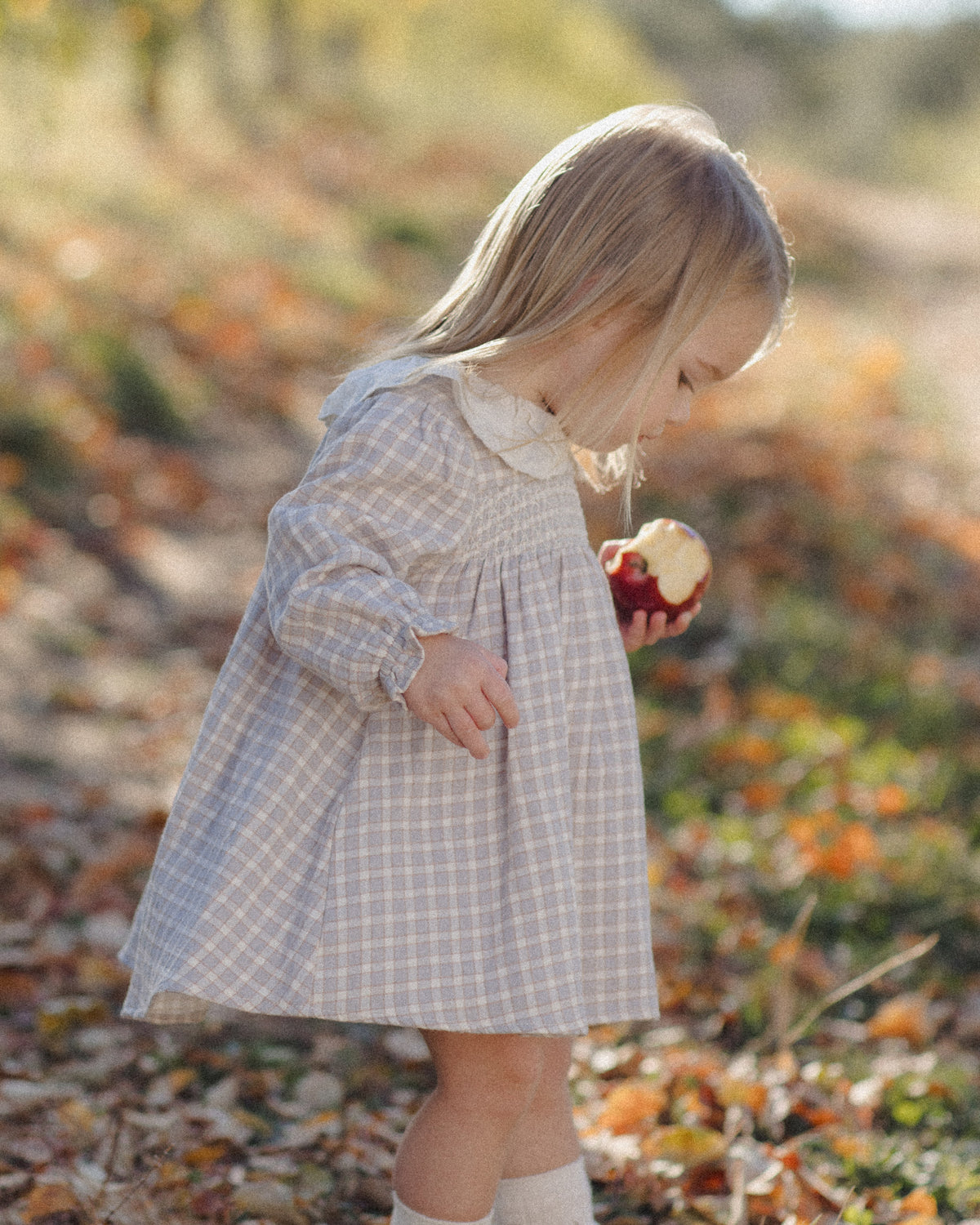 Blue Gingham Callie Dress