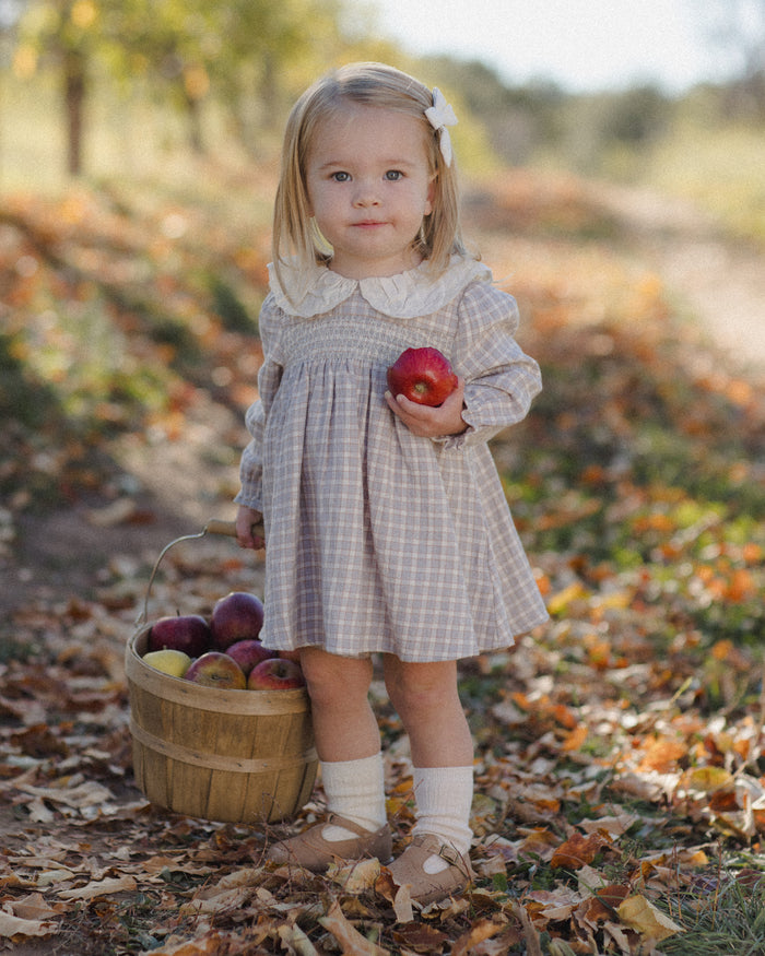 Blue Gingham Callie Dress