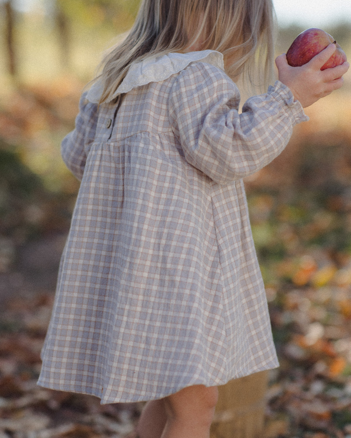 Blue Gingham Callie Dress