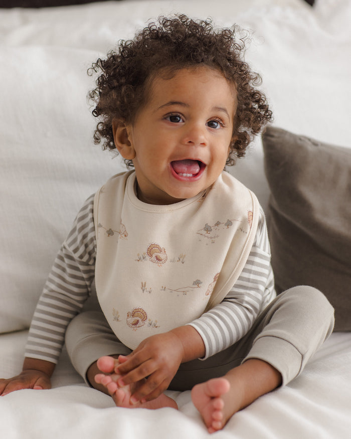 Laurel Stripe + Turkey Jersey Bib Set