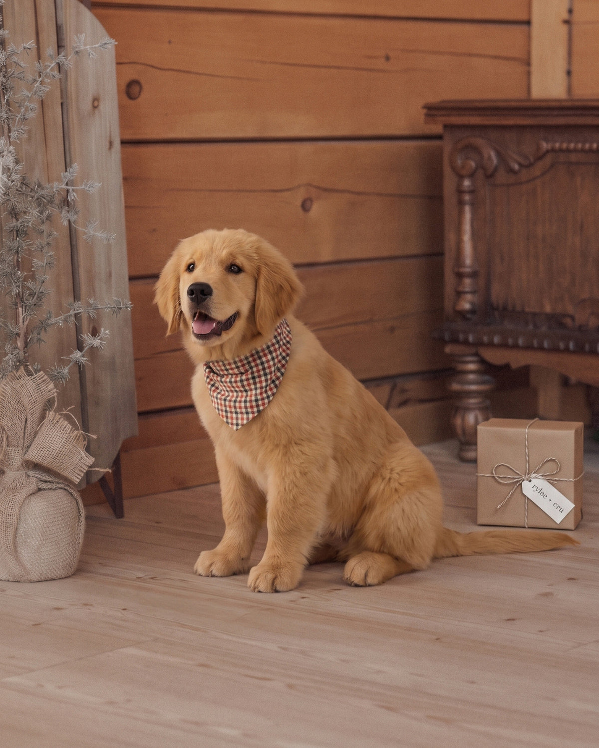 Holiday Gingham Dog Bandana
