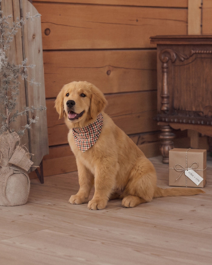 Holiday Gingham Dog Bandana