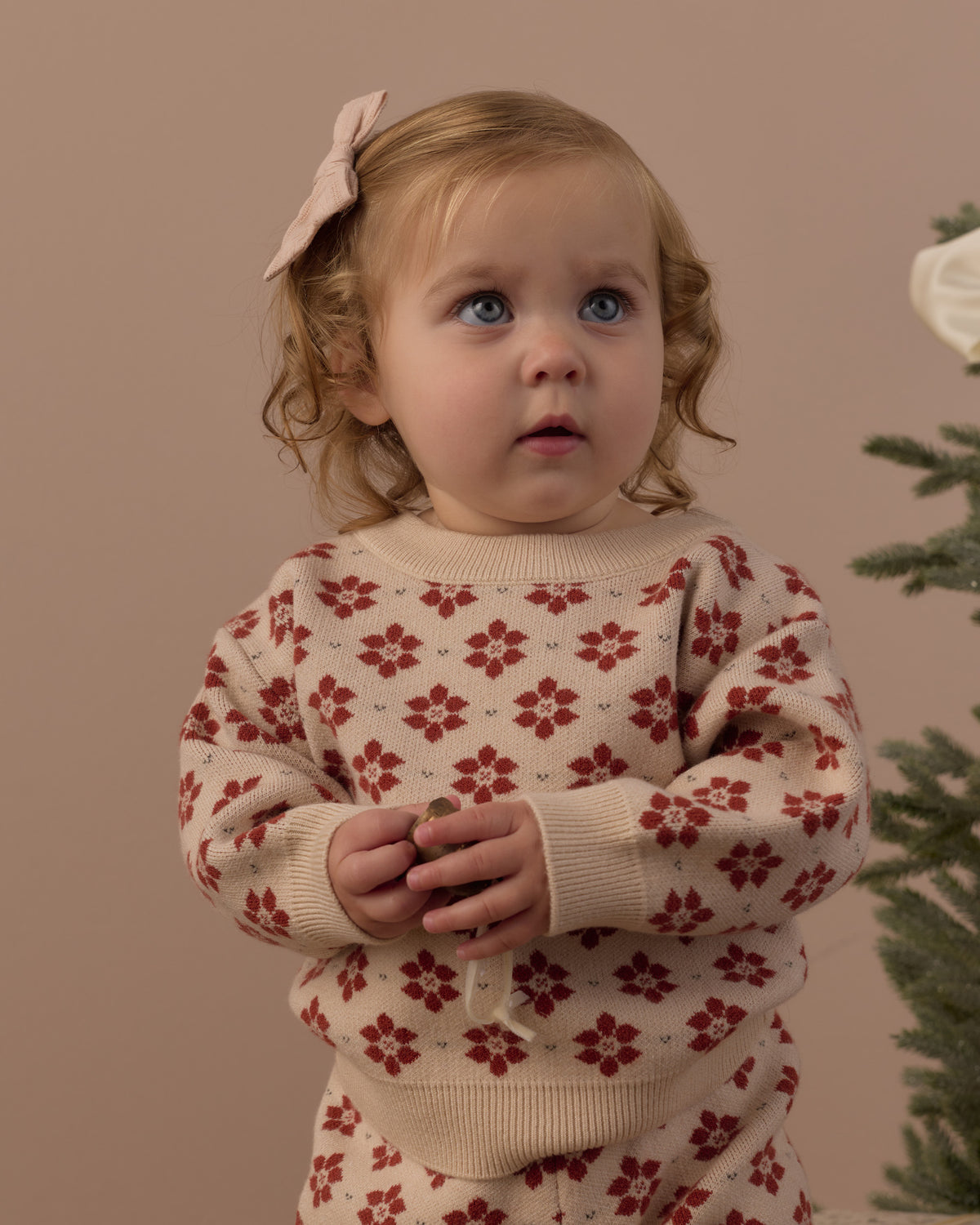 Poinsettia Jacquard Knit Set