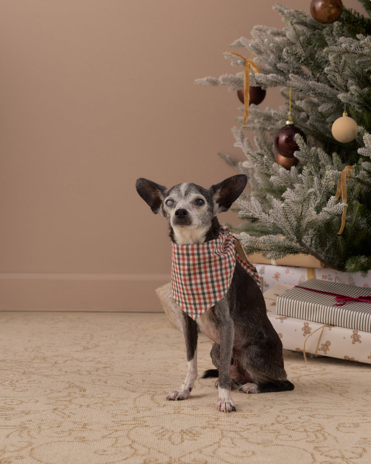 Holiday Gingham Dog Bandana