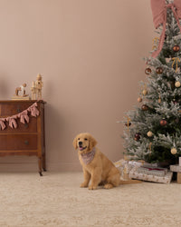 Holiday Gingham Dog Bandana