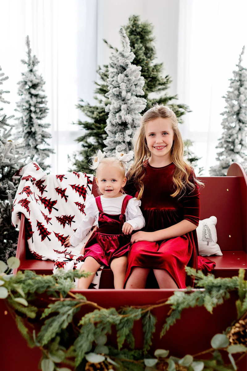 Cranberry Velvet Twirl Dress