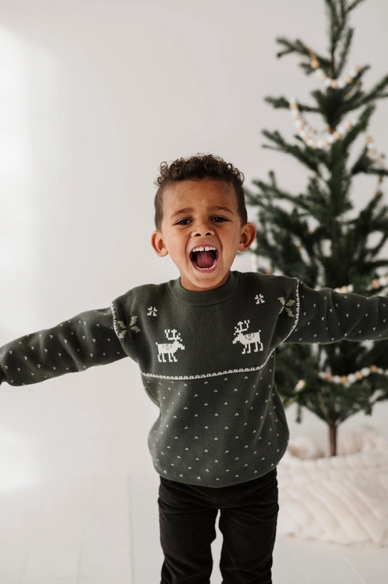 Moose Holiday Sweater