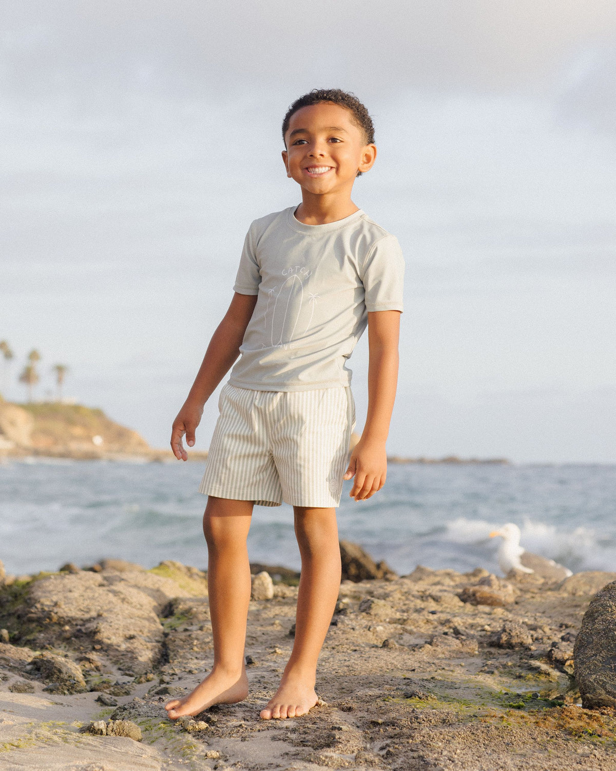 Sage Stripe Boardshorts