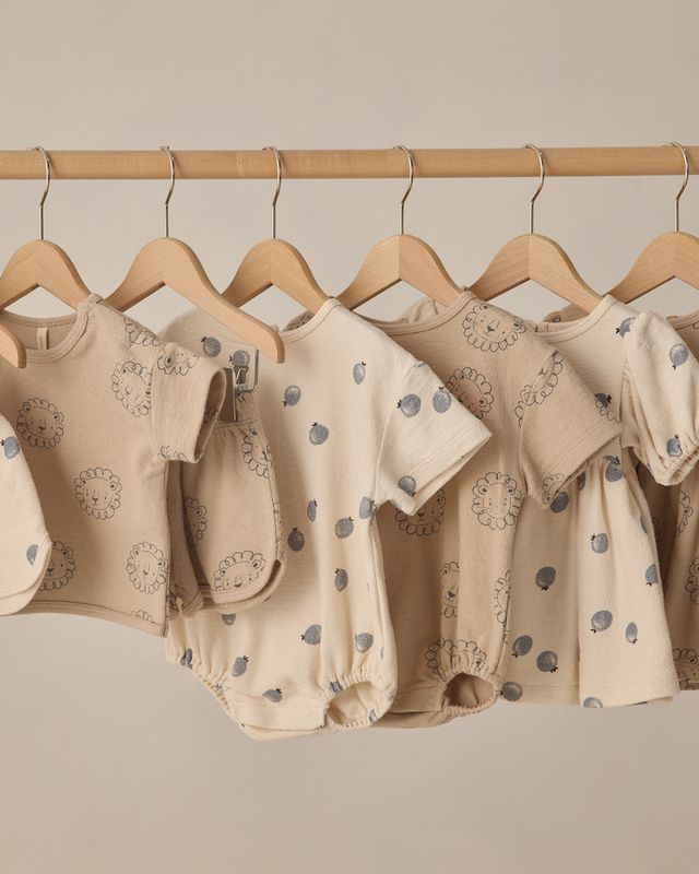 Blueberries Darla Dress