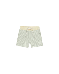 Sage Stripe Boardshorts