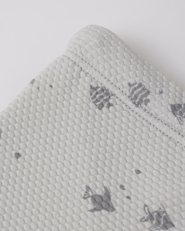 Fish Finn Rashguard Set