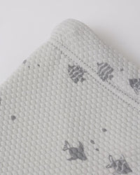 Fish Finn Rashguard Set