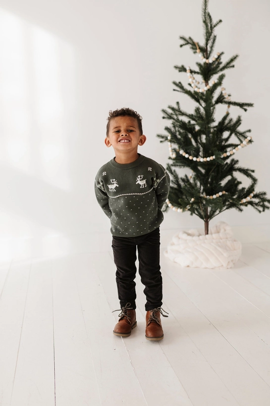 Moose Holiday Sweater