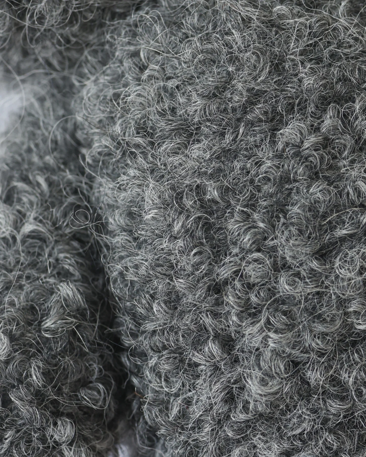 Fuzzy Charcoal Baby Kitten