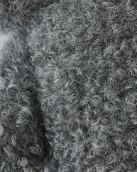 Fuzzy Charcoal Baby Kitten