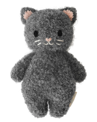 Fuzzy Charcoal Baby Kitten