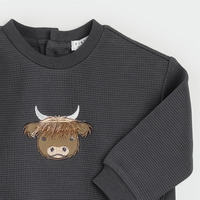 Highland Cow Set