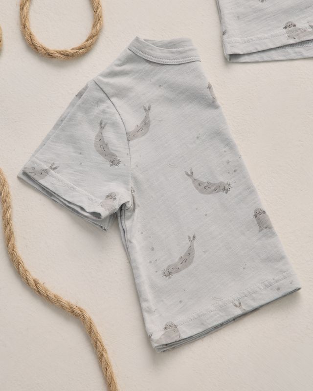 Seals Play Set