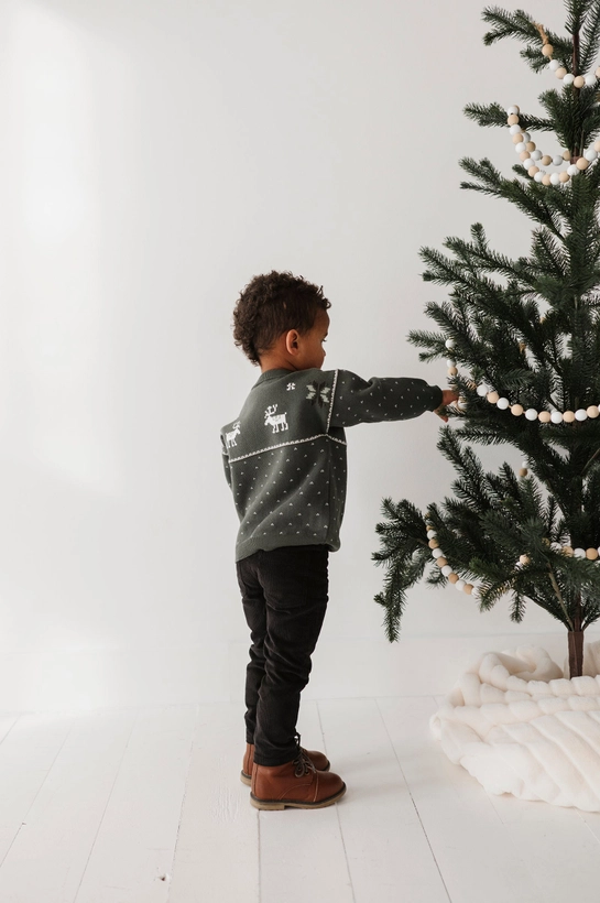 Moose Holiday Sweater