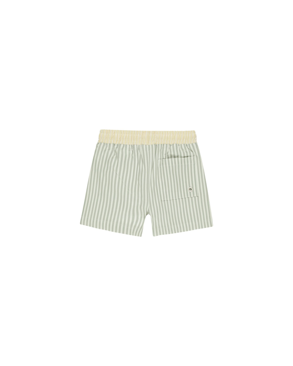 Sage Stripe Boardshorts