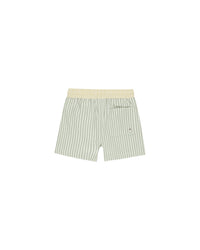 Sage Stripe Boardshorts