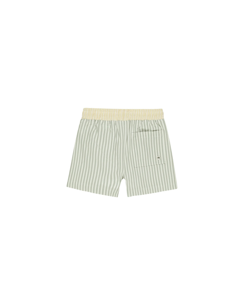 Sage Stripe Boardshorts