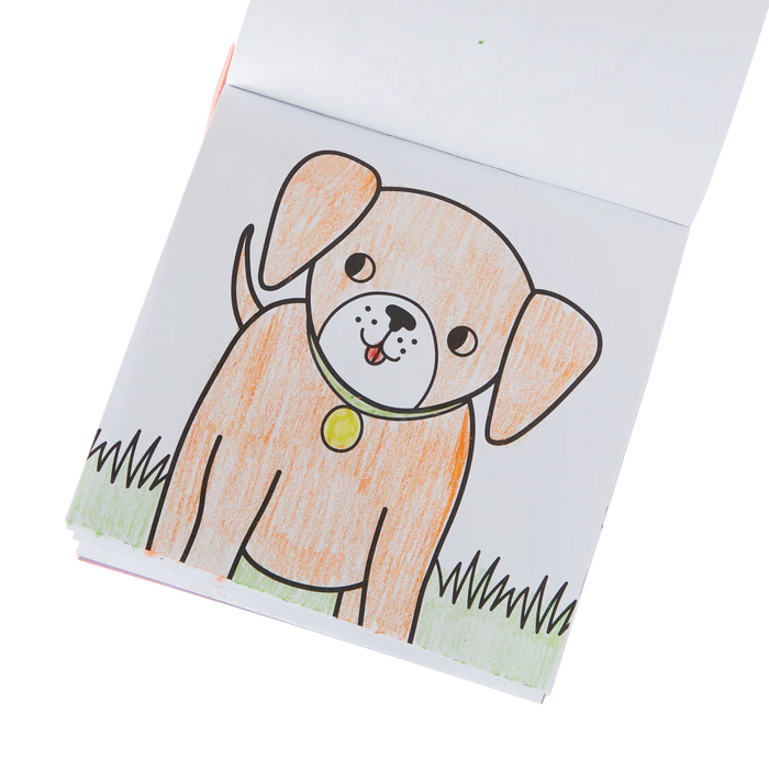 Pet Pals Coloring Book Set