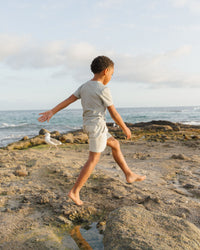 Sage Stripe Boardshorts