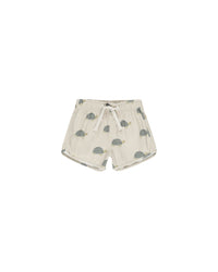 Sea Turtles Swim Trunk