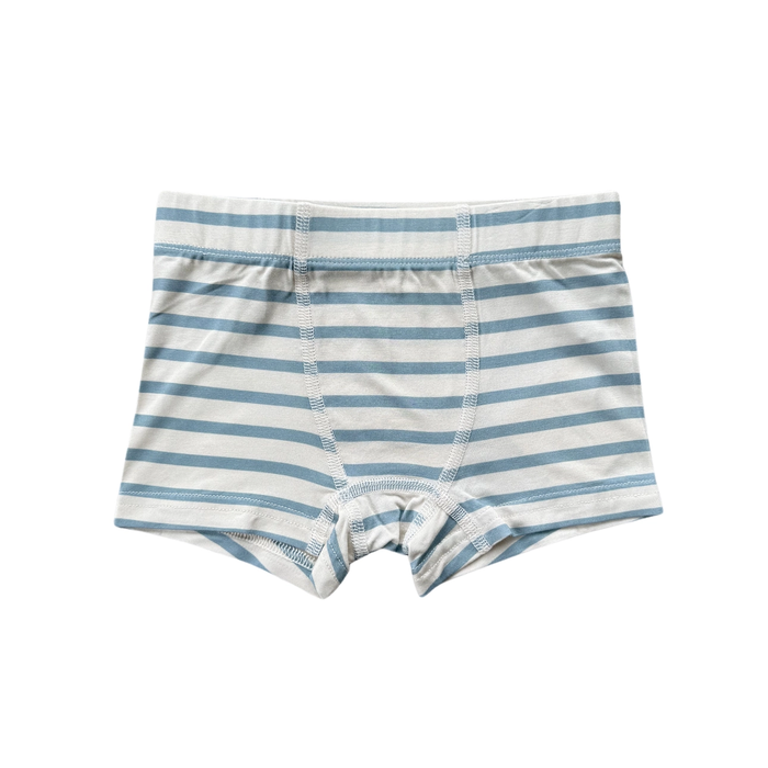 Blue Stripe Bamboo Boxer