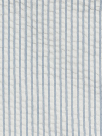 Shore Stripe Seersucker Button Down