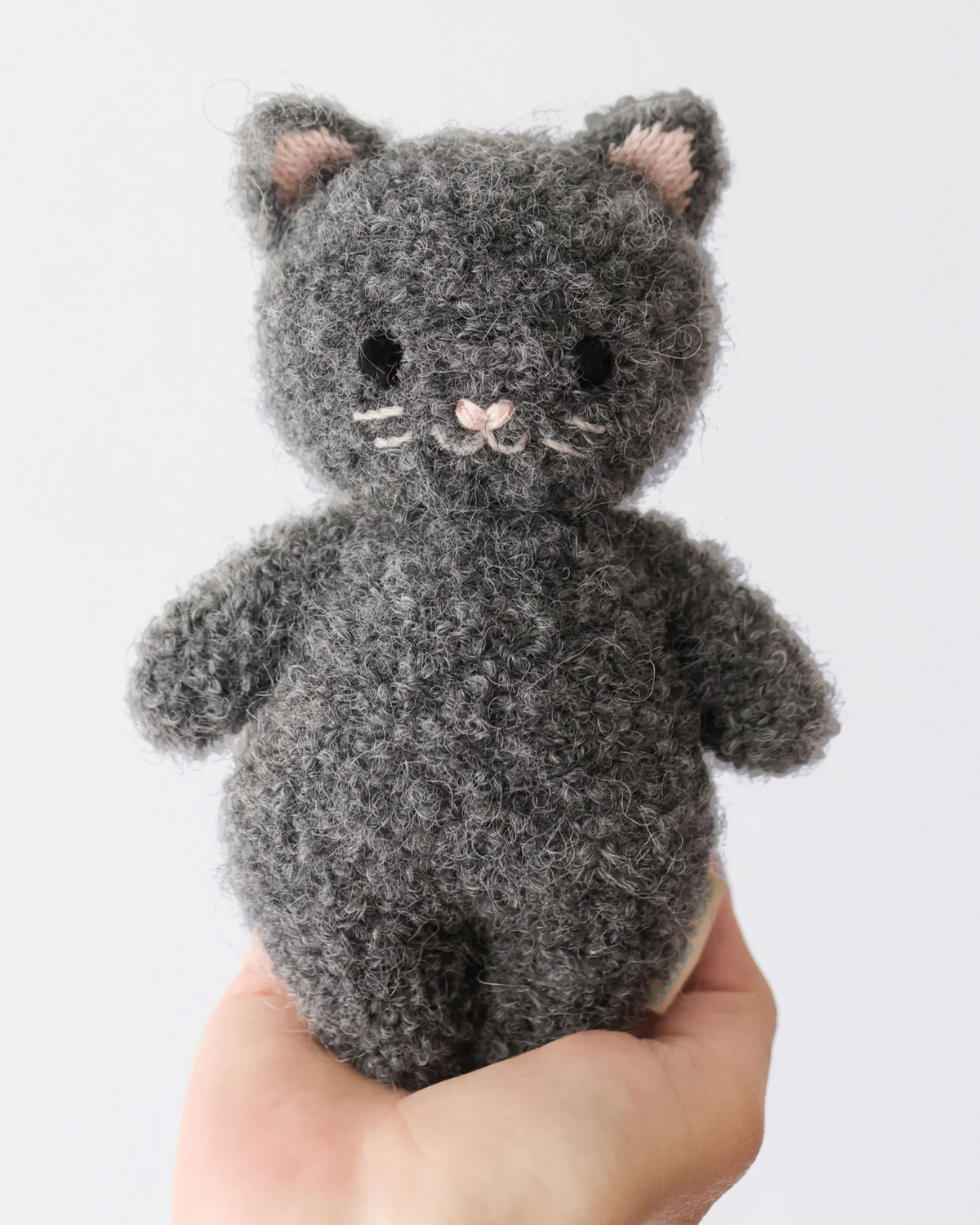 Fuzzy Charcoal Baby Kitten