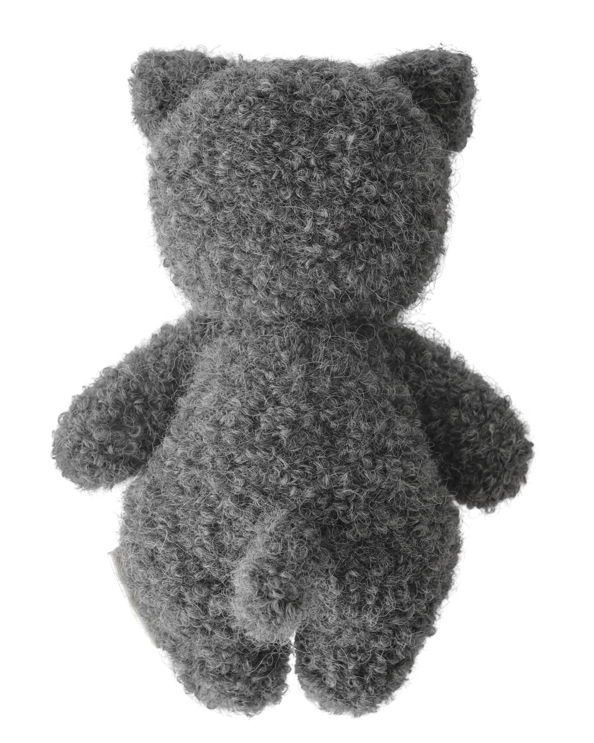 Fuzzy Charcoal Baby Kitten