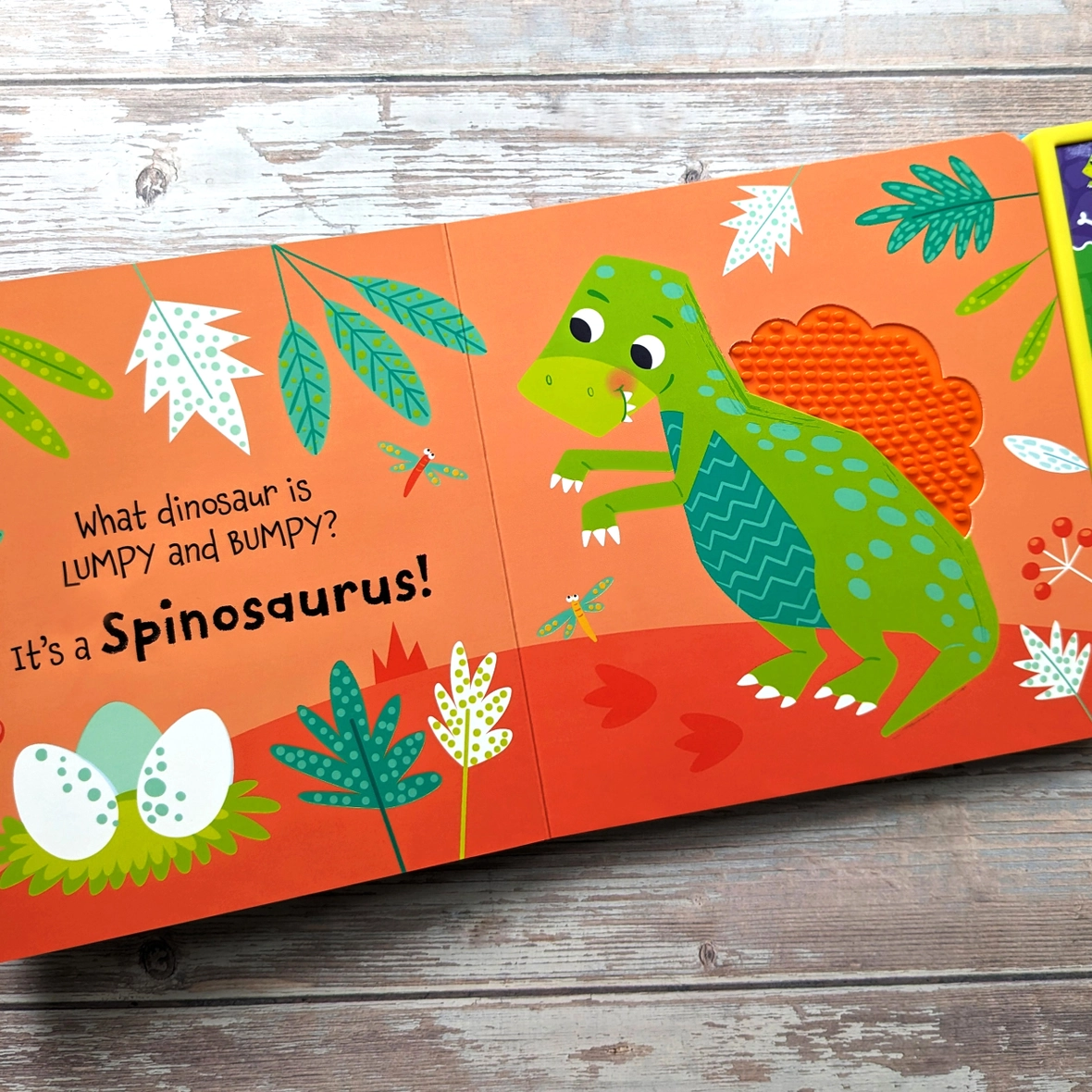 Touch & Feel Dinosaurs Book