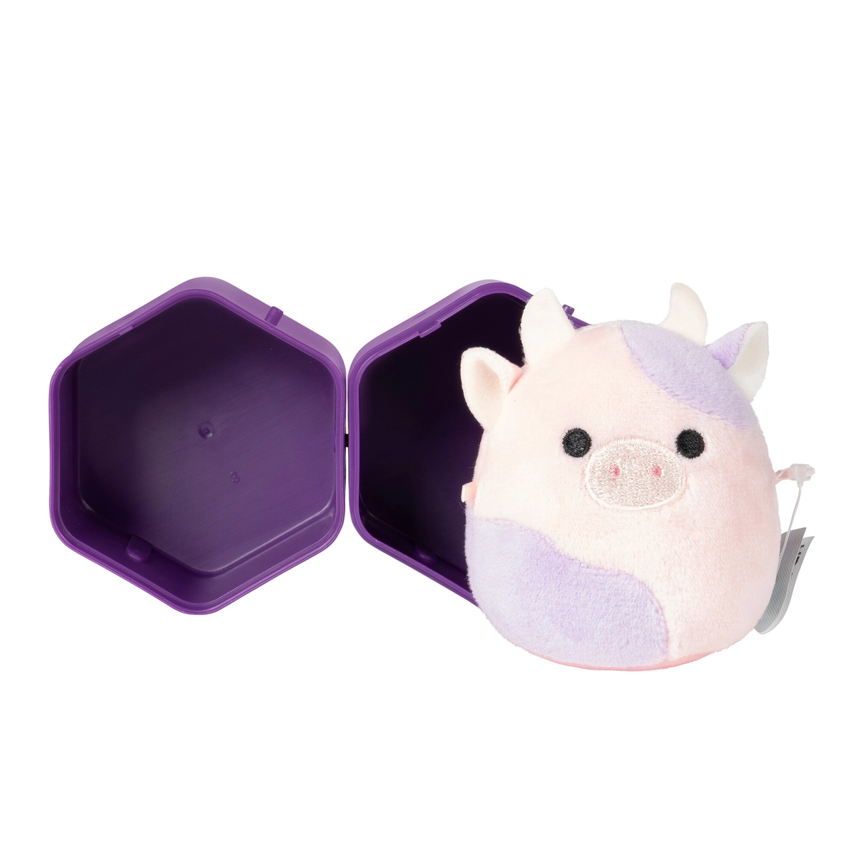 2.5" Mystery Micro Squishmallows