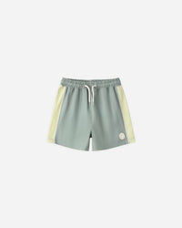 Sea Green Paneled Boardshort