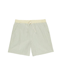 Men's Sage Stripe Boardshort