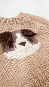 Dog Knitted Sweater
