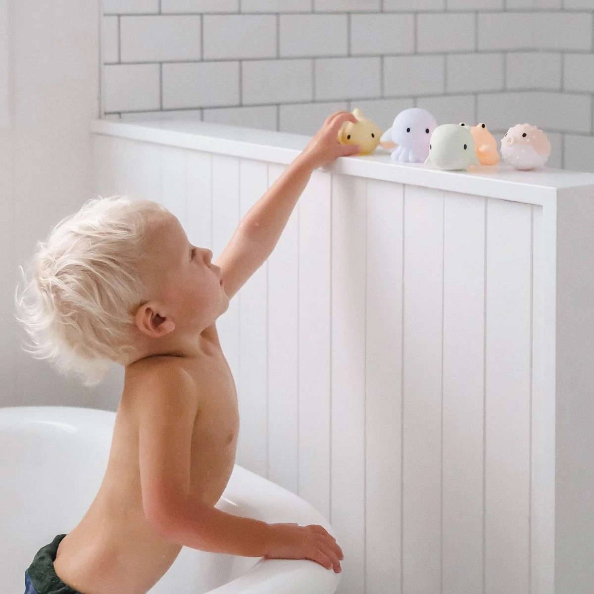Sea Animals Splash Toys