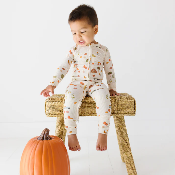 Pumpkin Patch Ribbed Bamboo Zip Romper