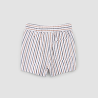 Striped Seersucker Shorts
